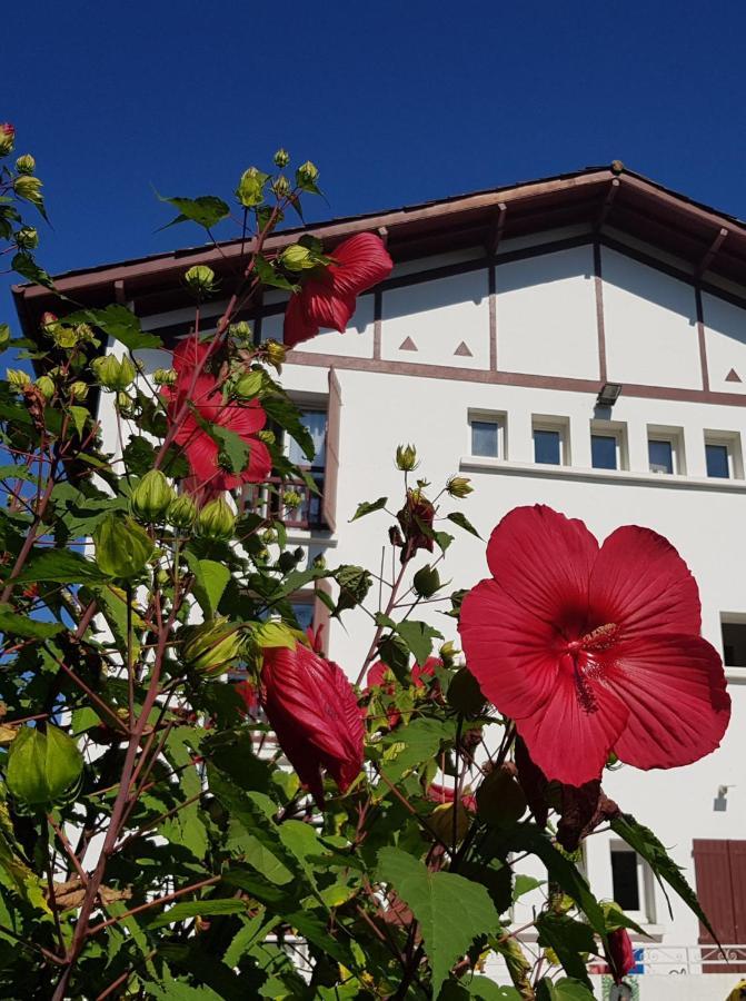 Hotel Pyrenees Atlantique Saint-Pée-sur-Nivelle Kültér fotó
